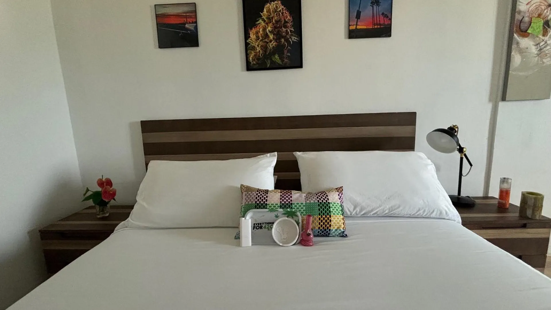 Bednbong Experience Stay Arecibo 0*,  Puerto Rico